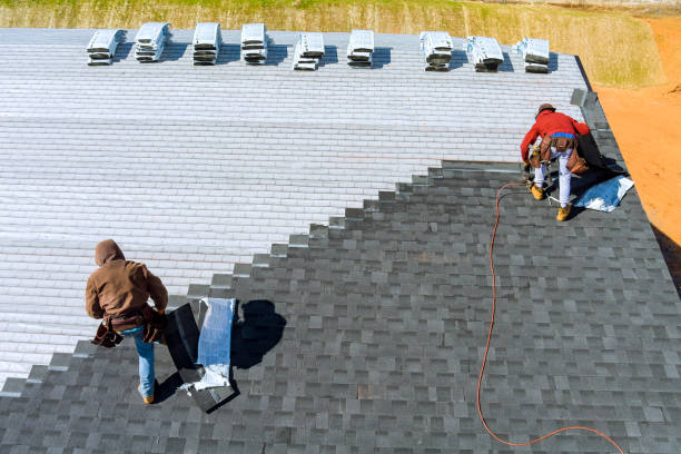 Best Commercial Roofing Services  in Roseau, MN