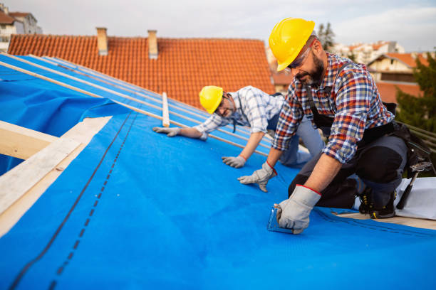 Best Storm Damage Roof Repair  in Roseau, MN