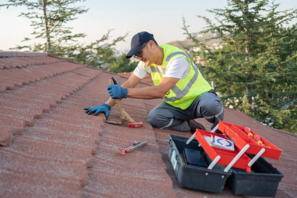 Sealant for Roof in Roseau, MN