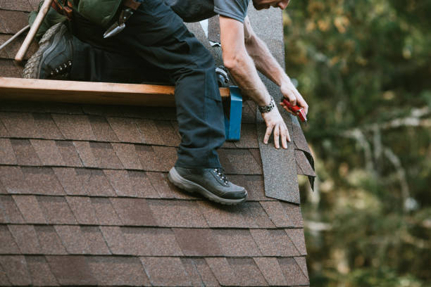 Best Best Roofing Contractors  in Roseau, MN